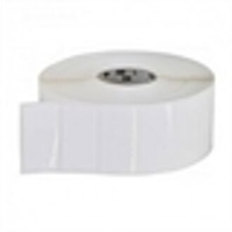 PolyE 3100T Gloss label 3011715 51mm x 25mm 12 rollen (origineel)