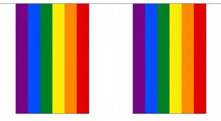 Polyester regenboog vlaggenlijn 9 m Multi