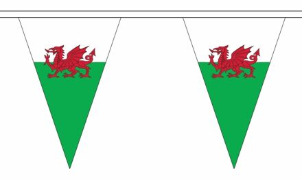 Polyester slinger met Wales vlaggetjes