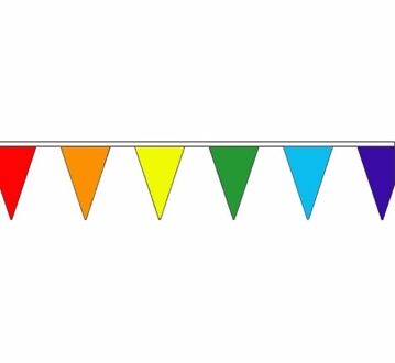 Polyester vlaggenlijn regenboog 5 meter Multi
