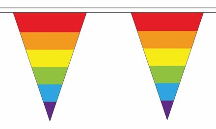 Polyester vlaggenlijnen regenboog vlaggetjes 5 meter - Vlaggenlijnen Multikleur