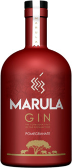 Pomegranate Gin 50CL