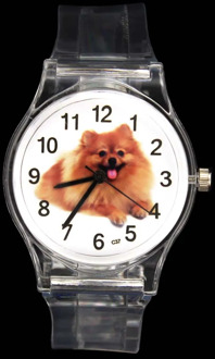 Pomeranian Pet Dog Puppy Animal Kids Children Quartz Watch Baby Boy Girl Sport Transparent Band Gift Wrist Watches