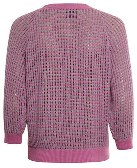 Poools Trui 413186 crocus - maat 42 Veelkleurig