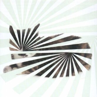 Poor Aim: Love Songs