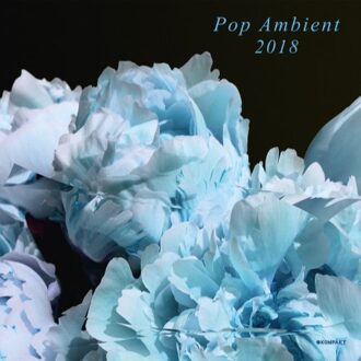 Pop Ambient 2018 (Lp + Download)
