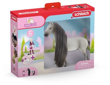 Pop Schleich Starter Set Sofia & Dusty Multikleur