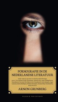 Pornografie in de Nederlandse literatuur - eBook Arnon Grunberg (9038895313)