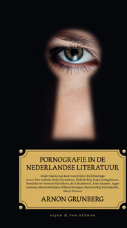 Pornografie in de Nederlandse literatuur - eBook Arnon Grunberg (9038895313)