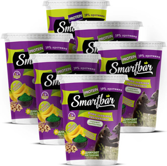 Porridge cereal, with raisins, banana and algae chlorella, smartbar 40g., (6 pcs)