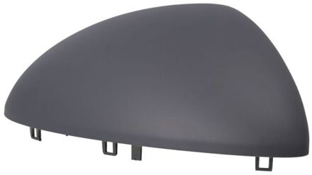 Porsche Afdekking, buitenspiegel 6103521179311P