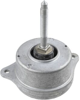 Porsche Aslichaam-/motorsteunlager 4452001