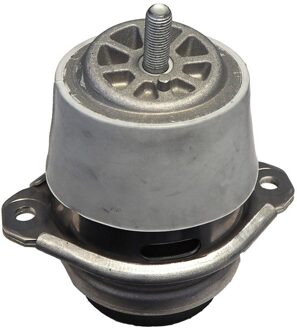 Porsche Aslichaam-/motorsteunlager 49114238