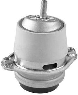 Porsche Aslichaam-/motorsteunlager TED50099