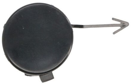 Porsche Bumperafdekking, trekhaak 5513005732920P