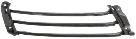 Porsche Houder, radiateurgrille 6502075725921P