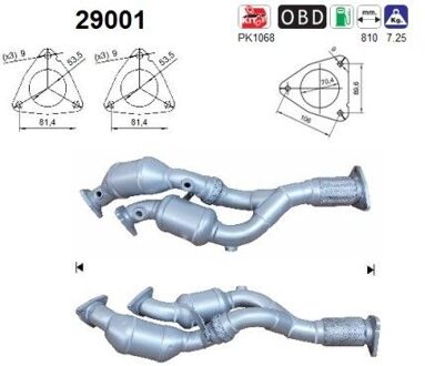 Porsche Katalysator 29001