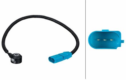 Porsche Klopsensor 6PG013114631