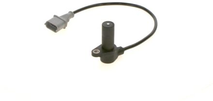 Porsche Krukassensor