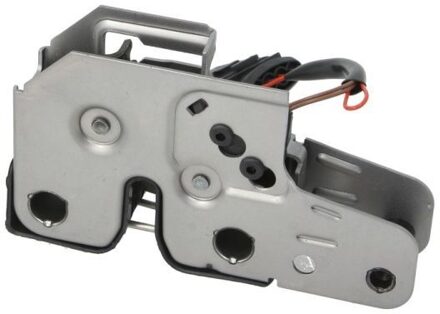 Porsche Motorkapslot 6010011610424P