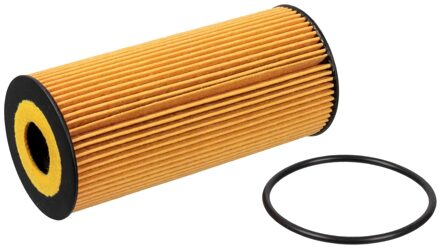 Porsche oliefilter 106110
