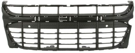 Porsche Radiateurgrille 6502072002990P