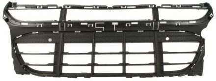 Porsche Radiateurgrille 6502075724990P