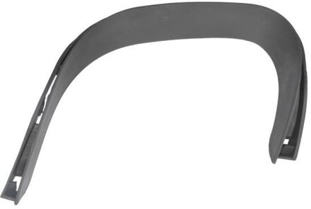 Porsche Sier- / beschermingspaneel, bumper 5703055730973P