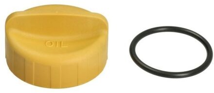 Porsche Slot, brandstoftank 60110000001P