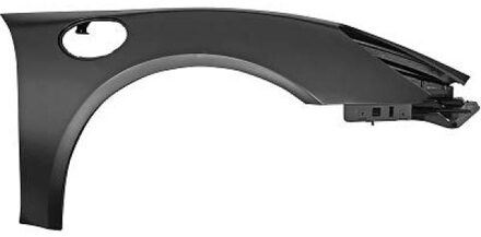 Porsche Spatbord 2010006