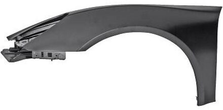 Porsche Spatbord 2010007