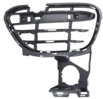 Porsche Ventilatiegrille, bumper 6502075721917PP