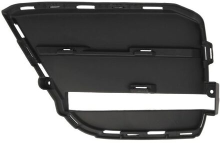 Porsche Ventilatiegrille, bumper 6502075724915P