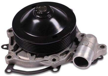 Porsche Waterpomp P599