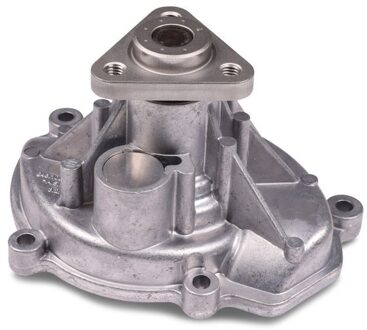 Porsche Waterpomp P690