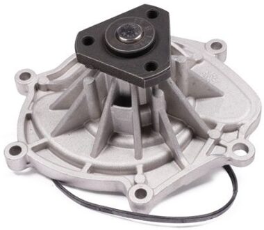 Porsche Waterpomp P691