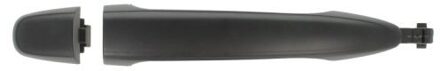 Portiergreep buitenkant 601019011406P