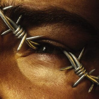 Post Malone - BEERBONGS & BENTLEYS | Vinyl