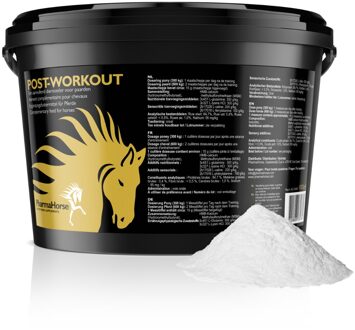 Post workout paard