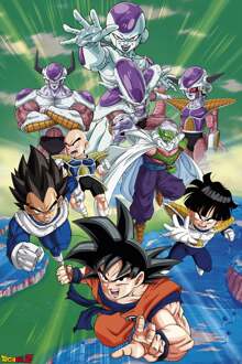 Poster 91X61 - DBZ/Groupe Arc Freezer