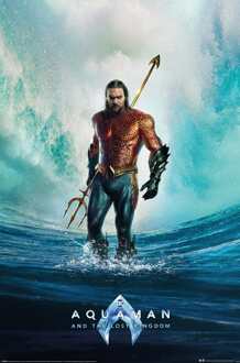 Poster Aquaman and The Lost Kingdom 61x91,5cm Multikleur