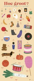 Poster Babygroeiposter -  Dieter Coppens, Tom Suykens (ISBN: 9789463839518)