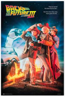 Poster Back to the Future 3 61x91,5cm Divers - 61x91.5 cm