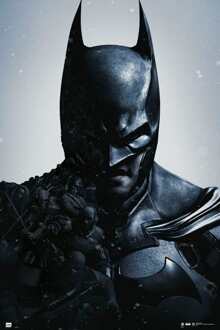 Poster Batman - Arkham Origins 61x91,5cm Divers - 61x91.5 cm