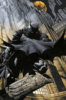 Poster Batman - Gargoyle 61x91,5cm Divers - 61x91.5 cm