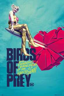 Poster Birds of Prey - Broken Heart 61x91,5cm Divers - 61x91.5 cm