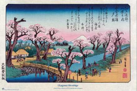 Poster Cherry Trees at Koganei Utagawa Hiroshige - 91,5x61cm Divers - 91.5x61 cm