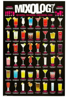 Poster - cocktails maken - decoratie - thuis bar - 61 x 91,5 cm
