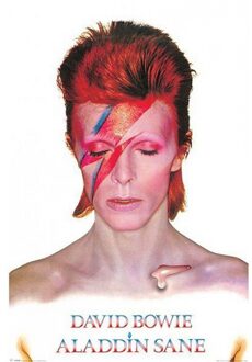 Poster David Bowie Aladdin Sane 61 x 91,5 cm Multi