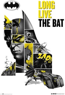 Poster DC Comics 80 Anniversary Batman 61x91,5cm Divers - 61x91.5 cm